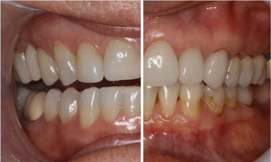 Dr Wendy Willoughby in Asheville North Carolina